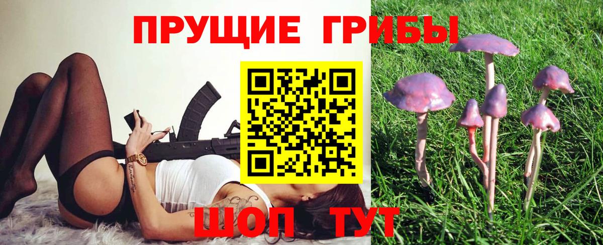 Галлюциногенные грибы прущие грибы Волжск