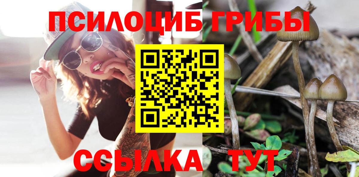 Псилоцибиновые грибы Magic Shrooms  Вход с VPN  Волжск 